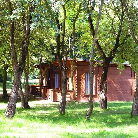 Camp 카우나스